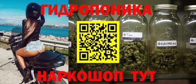 а пвп мука Тара